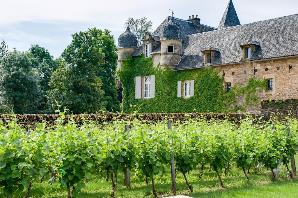 Chateau De Labro - Teritoria Onet-le-Château Buitenkant foto