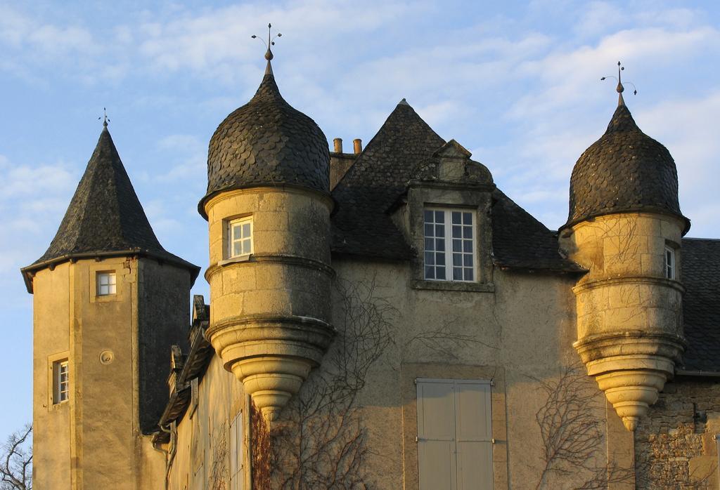 Chateau De Labro - Teritoria Onet-le-Château Buitenkant foto